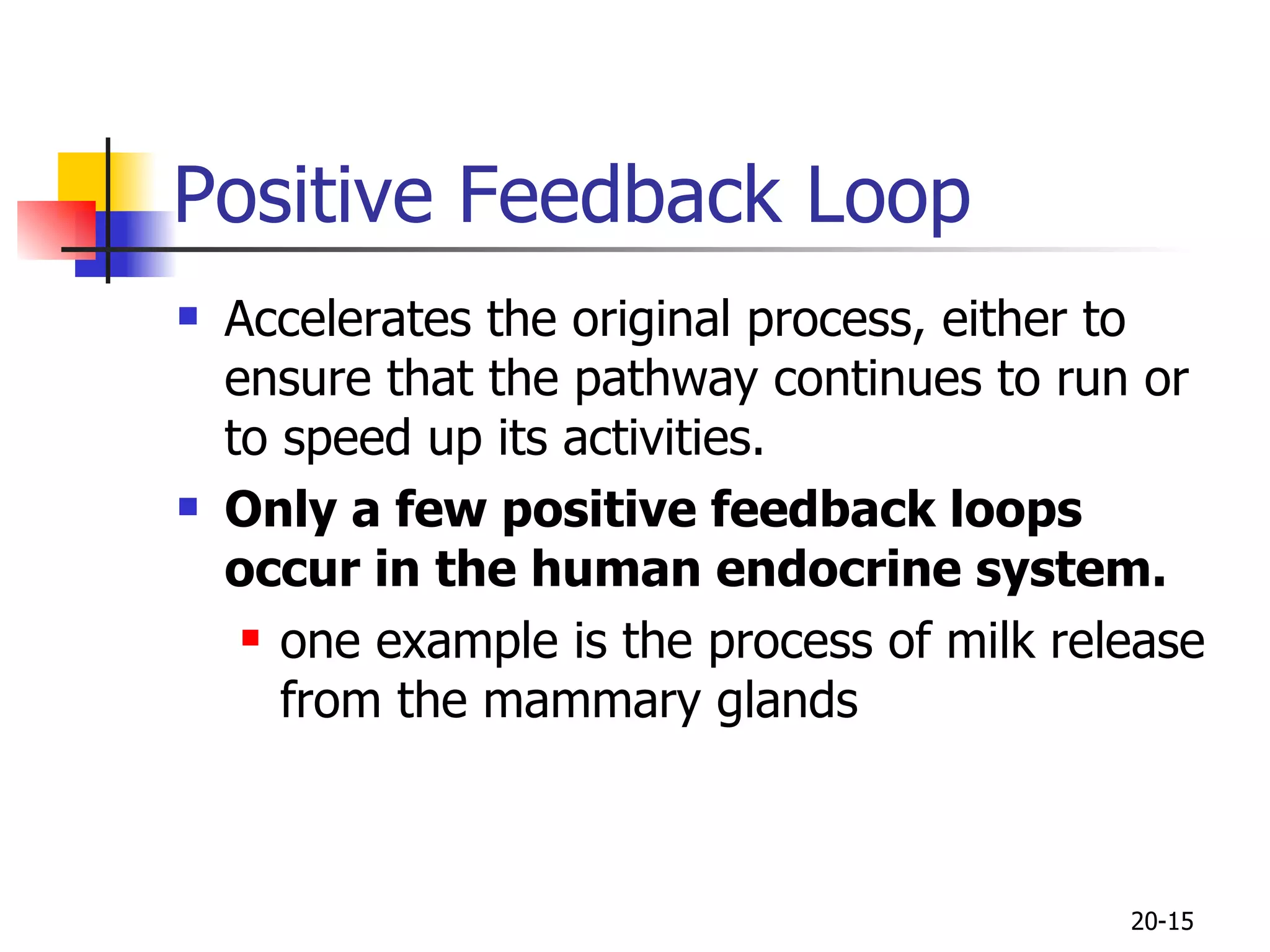 Positive Feedback Loop Accelerates the original process, either to ensure that the pathway continues to run or to speed up its activities.  Only a few positive feedback loops occur in the human endocrine system.   one example is the process of milk release from  the mammary glands  20- 