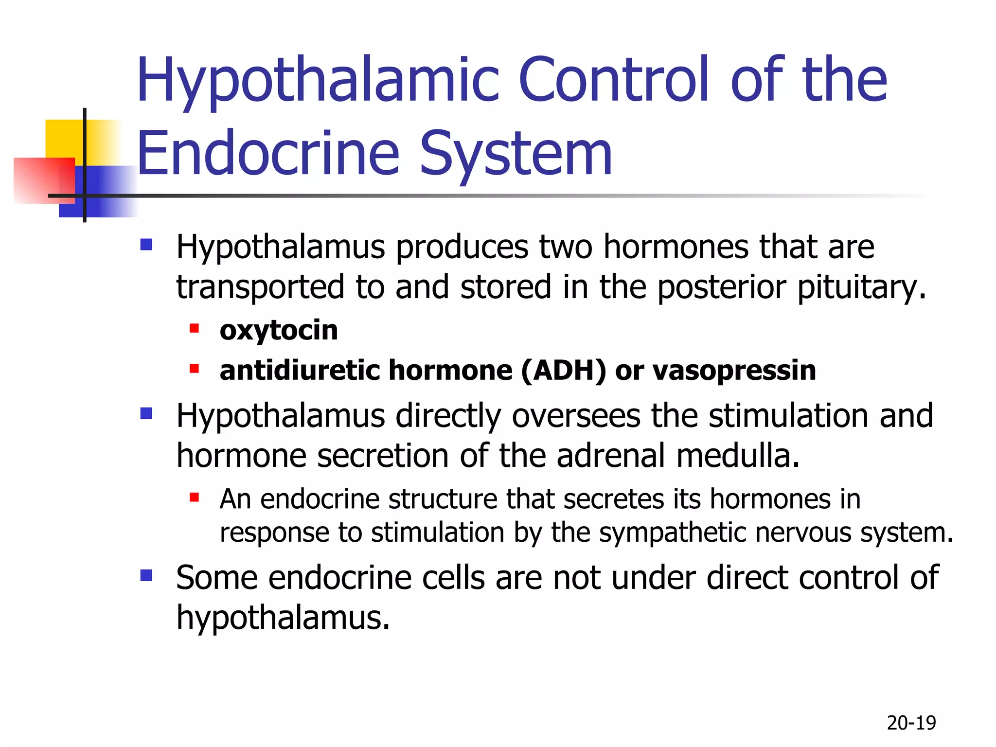 Hypothalamic Control of the Endocrine System Hypothalamus produces two hormones that are transported to and stored in the posterior pituitary. oxytocin  antidiuretic hormone (ADH) or vasopressin Hypothalamus directly oversees the stimulation and hormone secretion of the adrenal medulla.  An endocrine structure that secretes its hormones in response to stimulation by the sympathetic nervous system.  Some endocrine cells are not under direct control of hypothalamus.  20- 