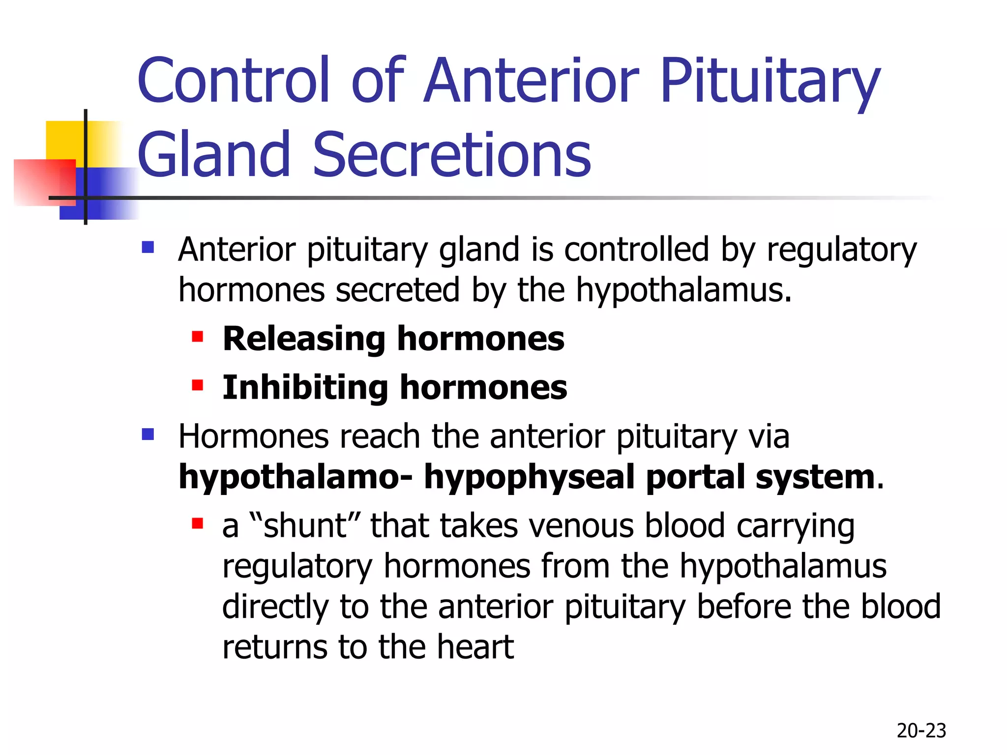 Control of Anterior Pituitary Gland Secretions Anterior pituitary gland is controlled by regulatory hormones secreted by the hypothalamus. Releasing hormones Inhibiting hormones   Hormones reach the anterior pituitary via  hypothalamo- hypophyseal  portal system . a “shunt” that takes venous blood carrying regulatory hormones from the hypothalamus directly to the anterior pituitary before the blood  returns to the heart  20- 