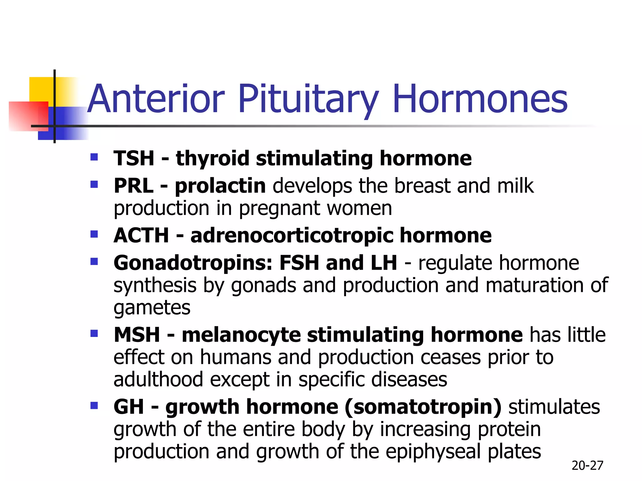 Anterior Pituitary Hormones TSH - thyroid stimulating hormone PRL - prolactin  develops the breast and milk production in pregnant women ACTH - adrenocorticotropic hormone Gonadotropins: FSH and LH  - regulate hormone synthesis by gonads and production and maturation of gametes MSH - melanocyte stimulating hormone  has little effect on humans and production ceases prior to adulthood except in specific diseases  GH - growth hormone (somatotropin)  stimulates growth of the entire body by increasing protein production and growth of the epiphyseal plates 20- 