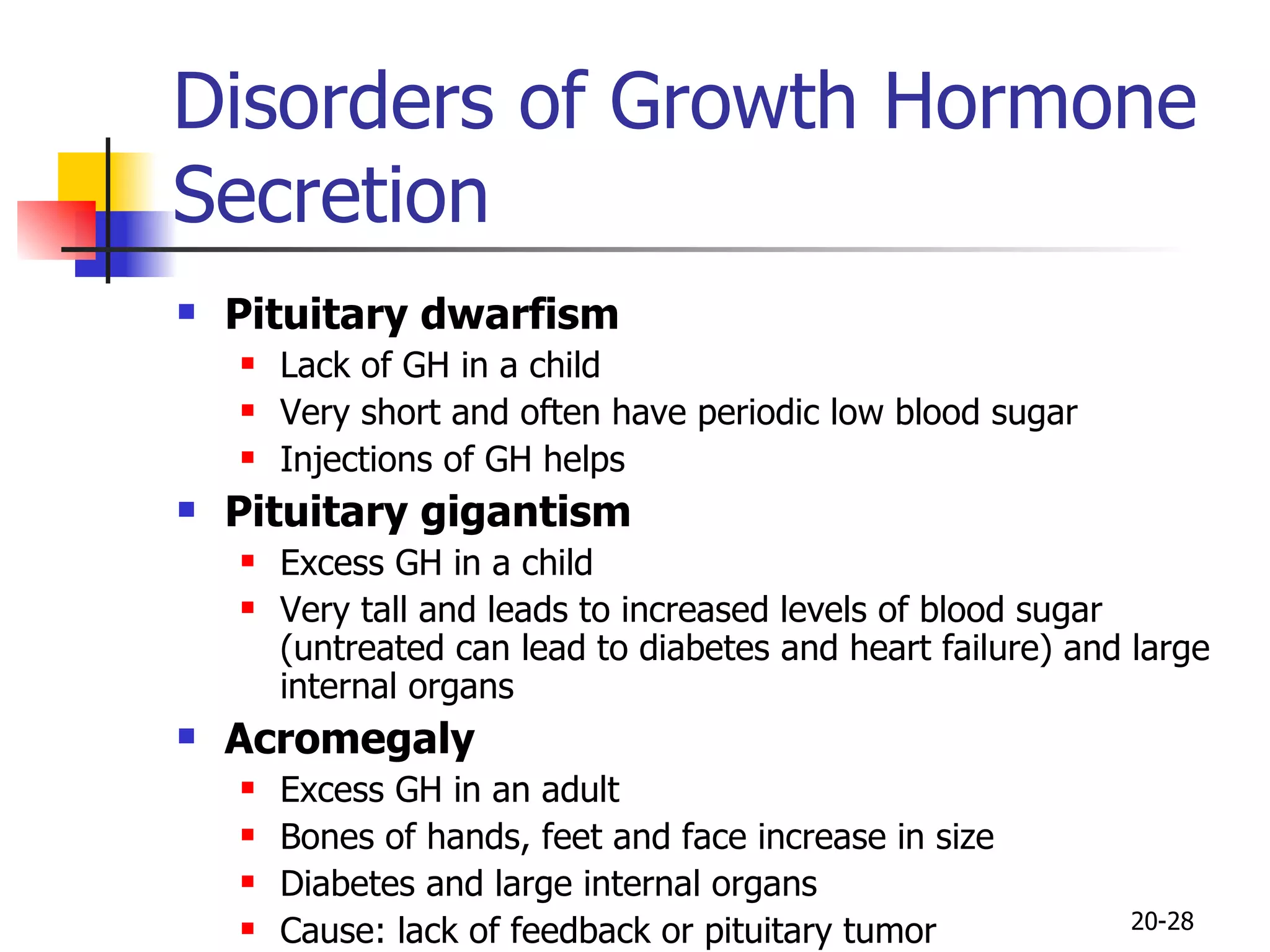 Disorders of Growth Hormone Secretion Pituitary dwarfism Lack of GH in a child Very short and often have periodic low blood sugar Injections of GH helps Pituitary gigantism Excess GH in a child Very tall and leads to increased levels of blood sugar (untreated can lead to diabetes and heart failure) and large internal organs Acromegaly Excess GH in an adult Bones of hands, feet and face increase in size Diabetes and large internal organs Cause: lack of feedback or pituitary tumor 20- 