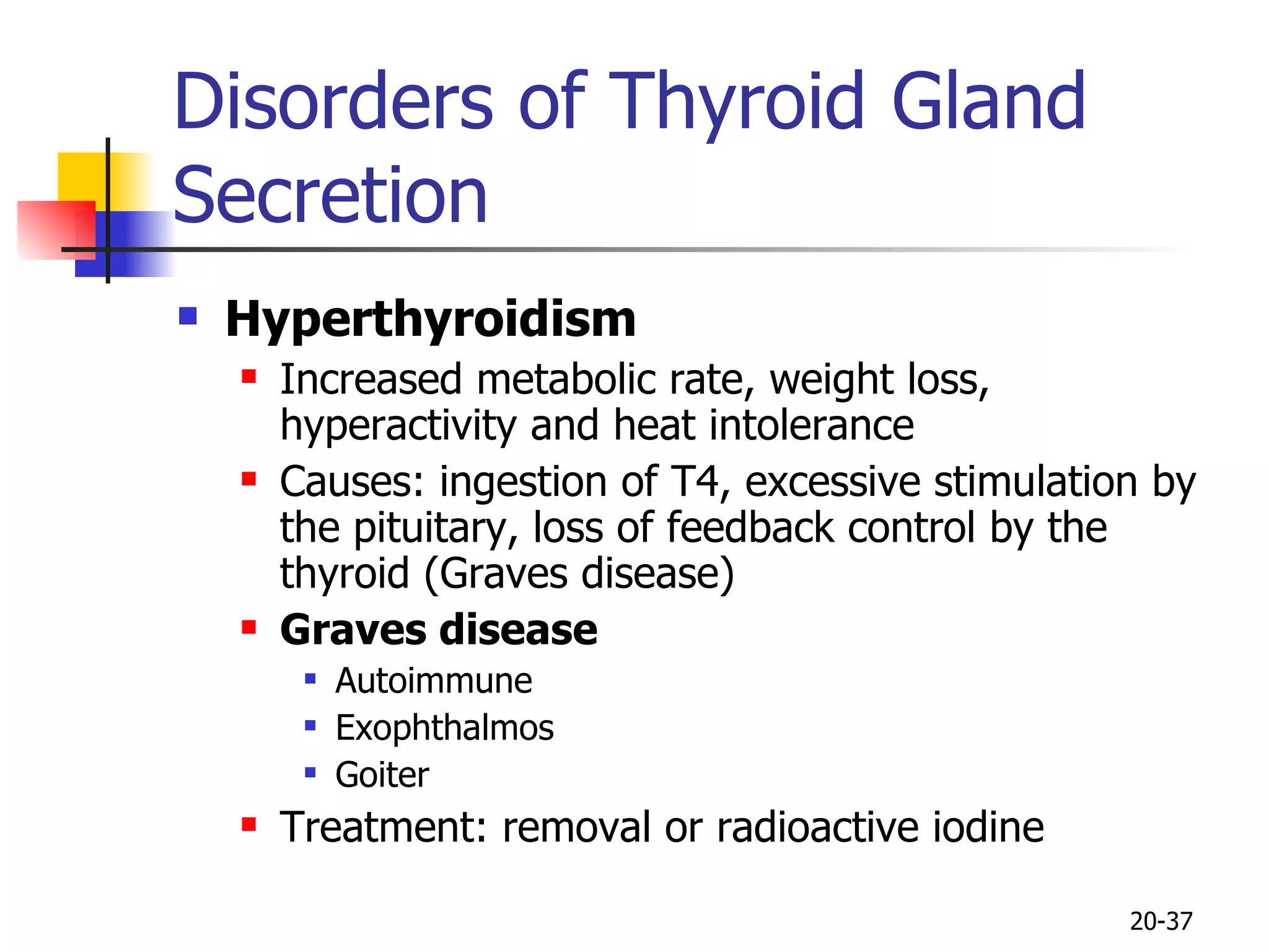 Disorders of Thyroid Gland Secretion Hyperthyroidism Increased metabolic rate, weight loss, hyperactivity and heat intolerance Causes: ingestion of T4, excessive stimulation by the pituitary, loss of feedback control by the thyroid (Graves disease) Graves disease Autoimmune Exophthalmos Goiter Treatment: removal or radioactive iodine 20- 