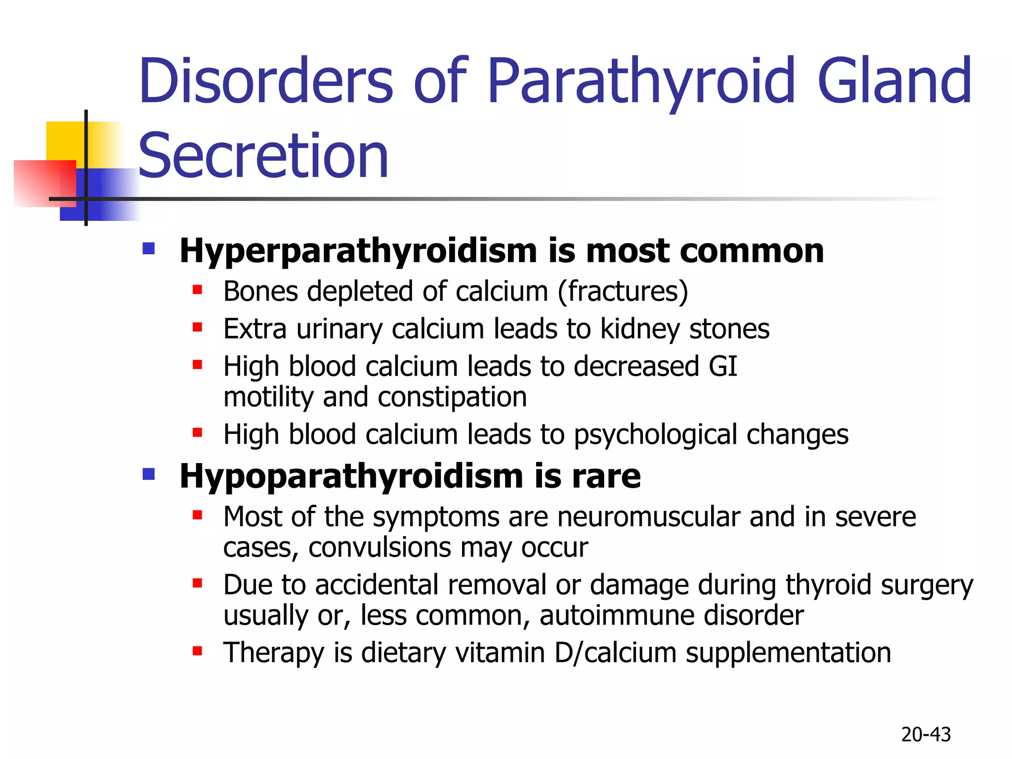 Disorders of Parathyroid Gland Secretion Hyperparathyroidism is most common Bones depleted of calcium (fractures) Extra urinary calcium leads to kidney stones High blood calcium leads to decreased GI motility and constipation High blood calcium leads to psychological changes Hypoparathyroidism is rare Most of the symptoms are neuromuscular and in severe cases, convulsions may occur Due to accidental removal or damage during thyroid surgery usually or, less common, autoimmune disorder Therapy is dietary vitamin D/calcium supplementation 20- 