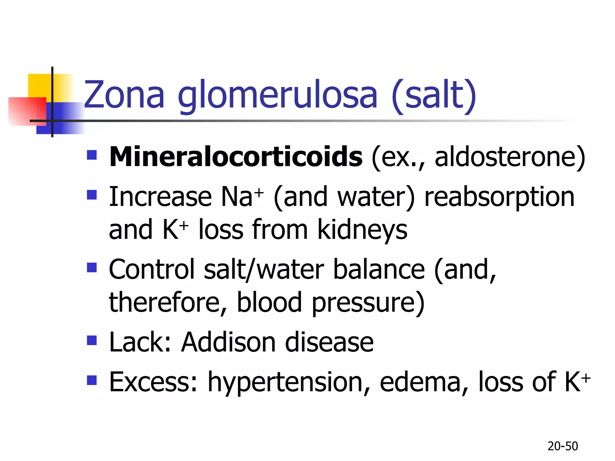 Zona glomerulosa (salt) Mineralocorticoids  (ex., aldosterone) Increase Na +  (and water) reabsorption and K +  loss from kidneys Control salt/water balance (and, therefore, blood pressure) Lack: Addison disease Excess: hypertension, edema, loss of K + 20- 