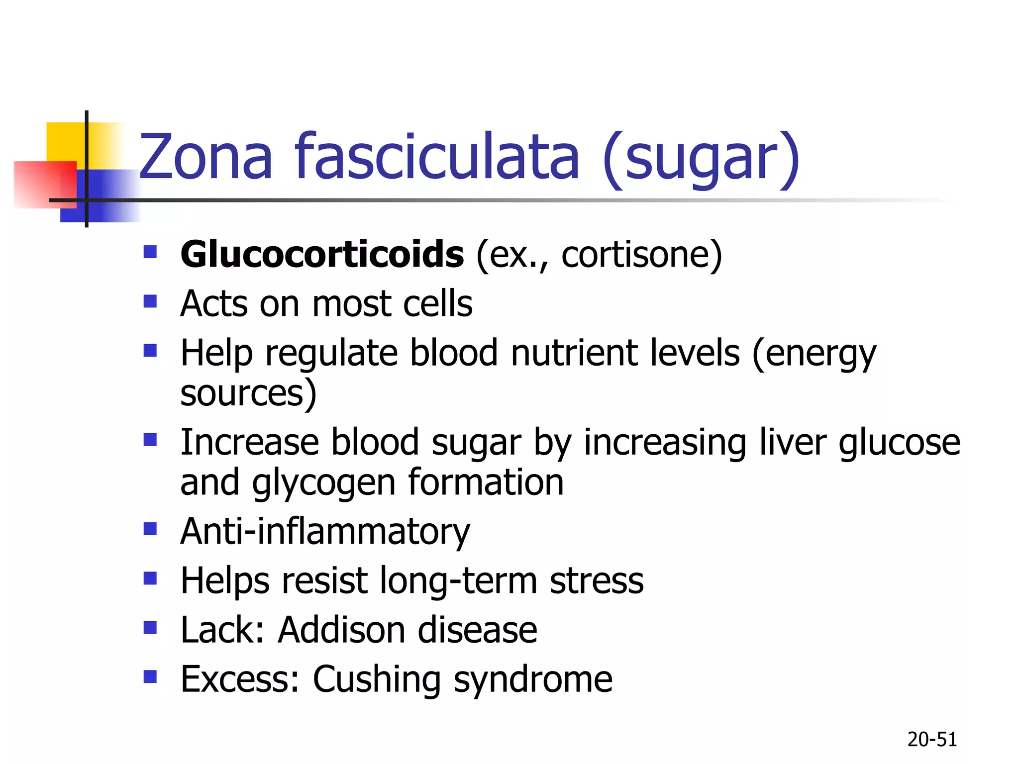 Zona fasciculata (sugar) Glucocorticoids  (ex., cortisone) Acts on most cells Help regulate blood nutrient levels (energy sources) Increase blood sugar by increasing liver glucose and glycogen formation Anti-inflammatory Helps resist long-term stress Lack: Addison disease Excess: Cushing syndrome 20- 