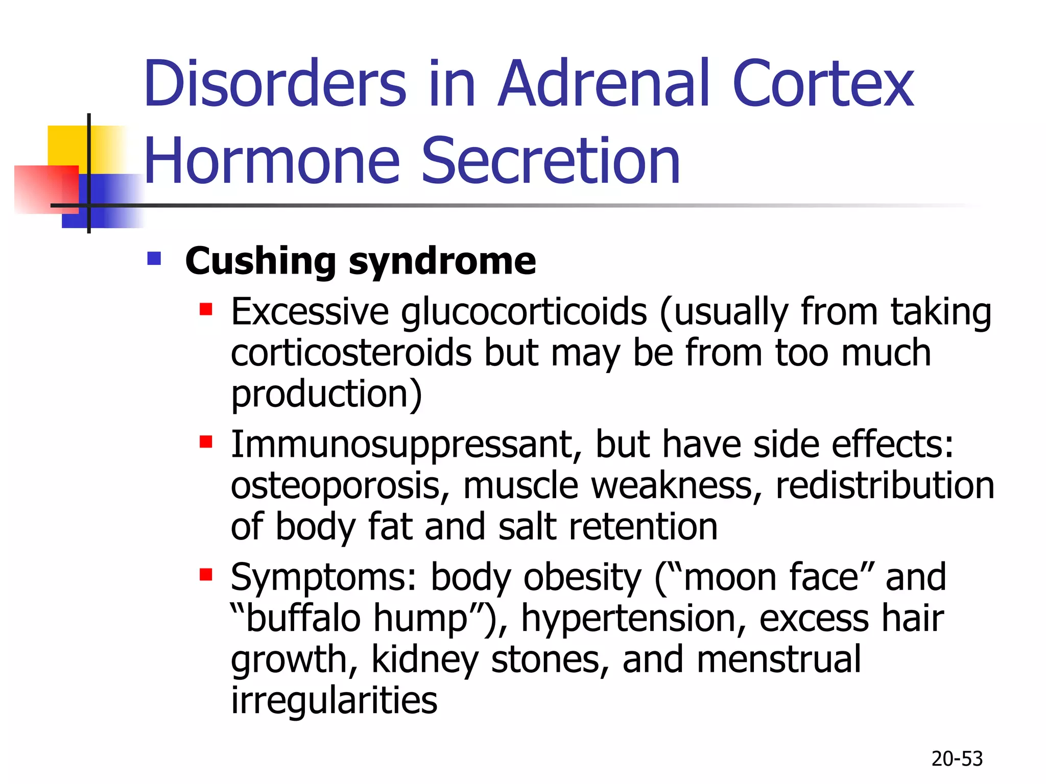 Disorders in Adrenal Cortex Hormone Secretion Cushing syndrome Excessive glucocorticoids (usually from taking corticosteroids but may be from too much production) Immunosuppressant, but have side effects: osteoporosis, muscle weakness, redistribution of body fat and salt retention Symptoms: body obesity (“moon face” and “buffalo hump”), hypertension, excess hair growth, kidney stones, and menstrual irregularities 20- 