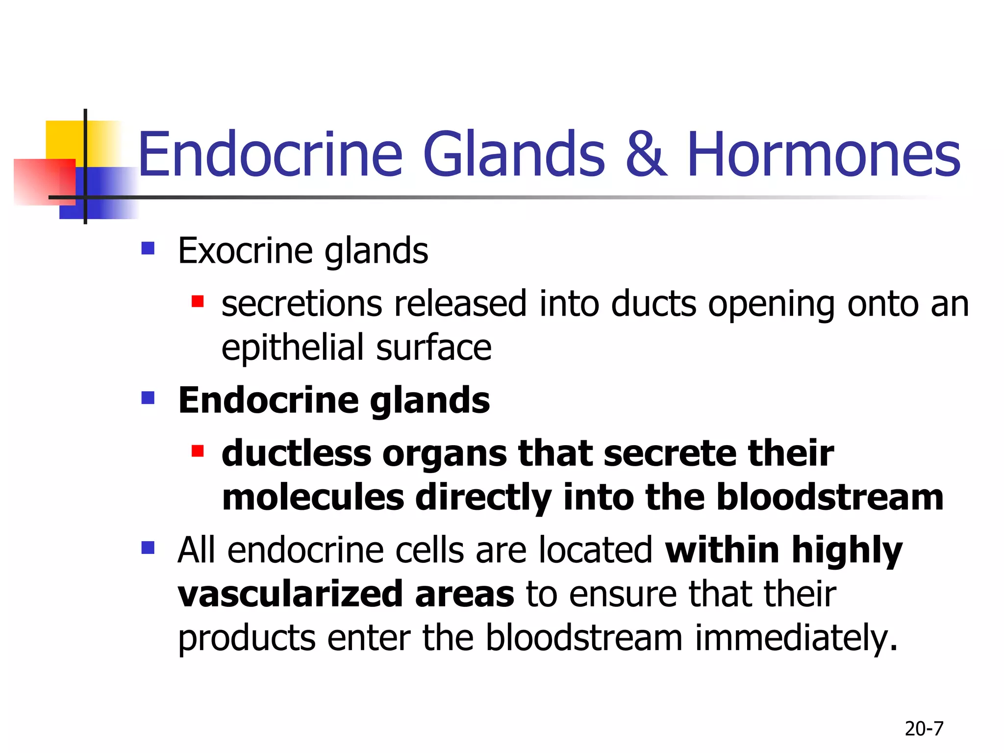 Endocrine Glands & Hormones  Exocrine glands  secretions released into ducts opening onto an epithelial surface Endocrine glands  ductless organs that secrete their molecules directly into the bloodstream All endocrine cells are located  within highly vascularized areas  to ensure that their products enter the bloodstream immediately.  20- 