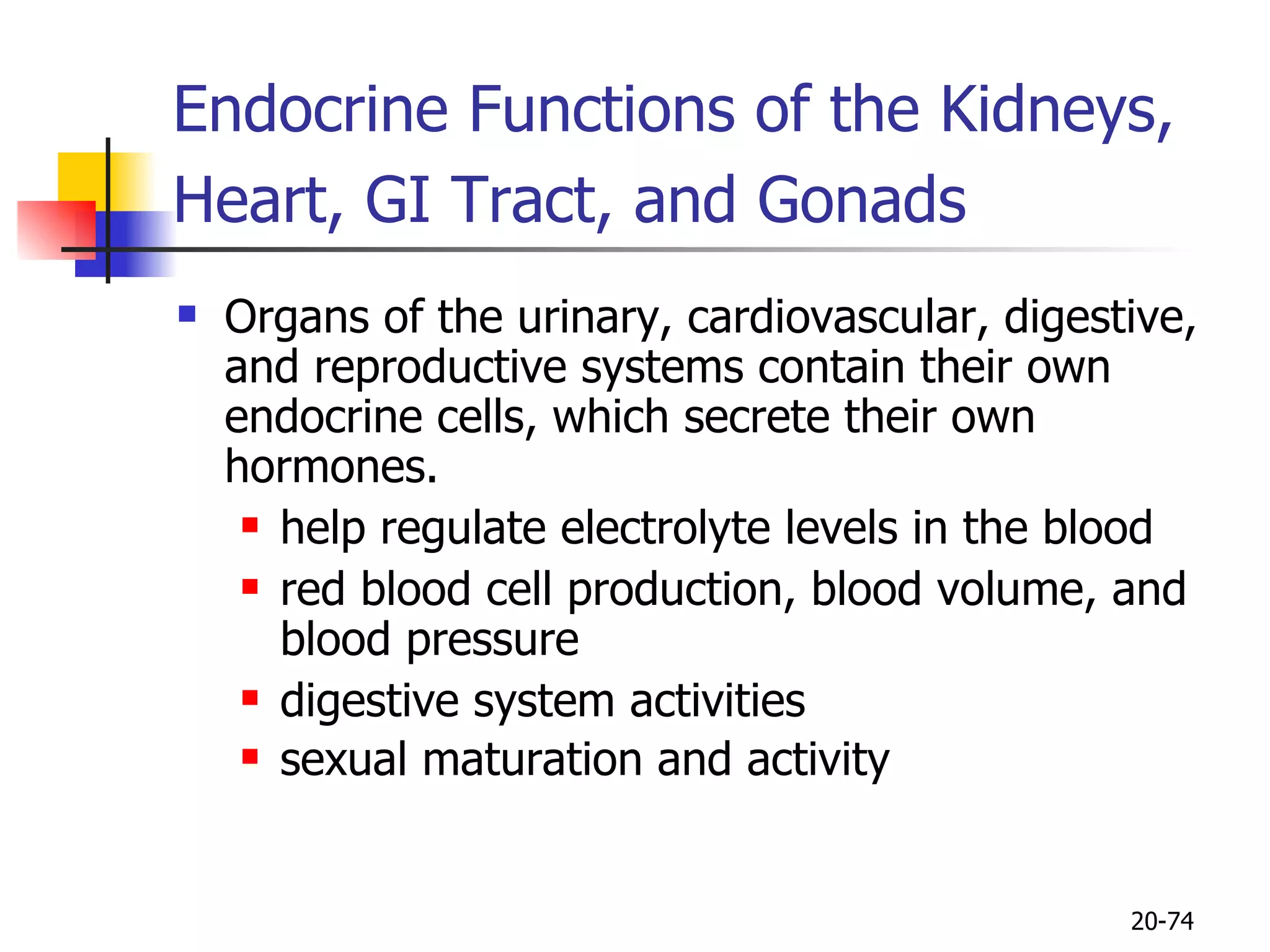 Endocrine Functions of the Kidneys, Heart, GI Tract, and Gonads   Organs of the urinary, cardiovascular, digestive, and reproductive systems contain their own endocrine cells, which secrete their own hormones.  help regulate electrolyte levels in the blood red blood cell production, blood volume, and blood pressure digestive system activities  sexual maturation  and activity   20- 