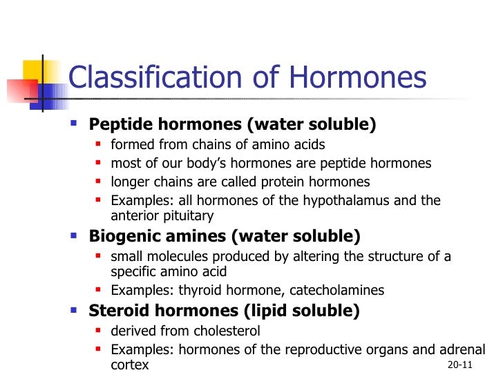 examples of polypeptide hormones Molecular basis of peptide hormone production ppt video online.
