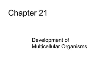 Chapter 21


     • Development of
       Multicellular Organisms
 