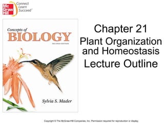 Chapter 21
                                  Plant Organization
                                  and Homeostasis
                                      Lecture Outline



Copyright © The McGraw-Hill Companies, Inc. Permission required for reproduction or display.
 