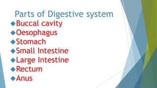 Parts of Digestive system
Buccal cavity
Oesophagus
Stomach
Small Intestine
Large Intestine
Rectum
Anus
 