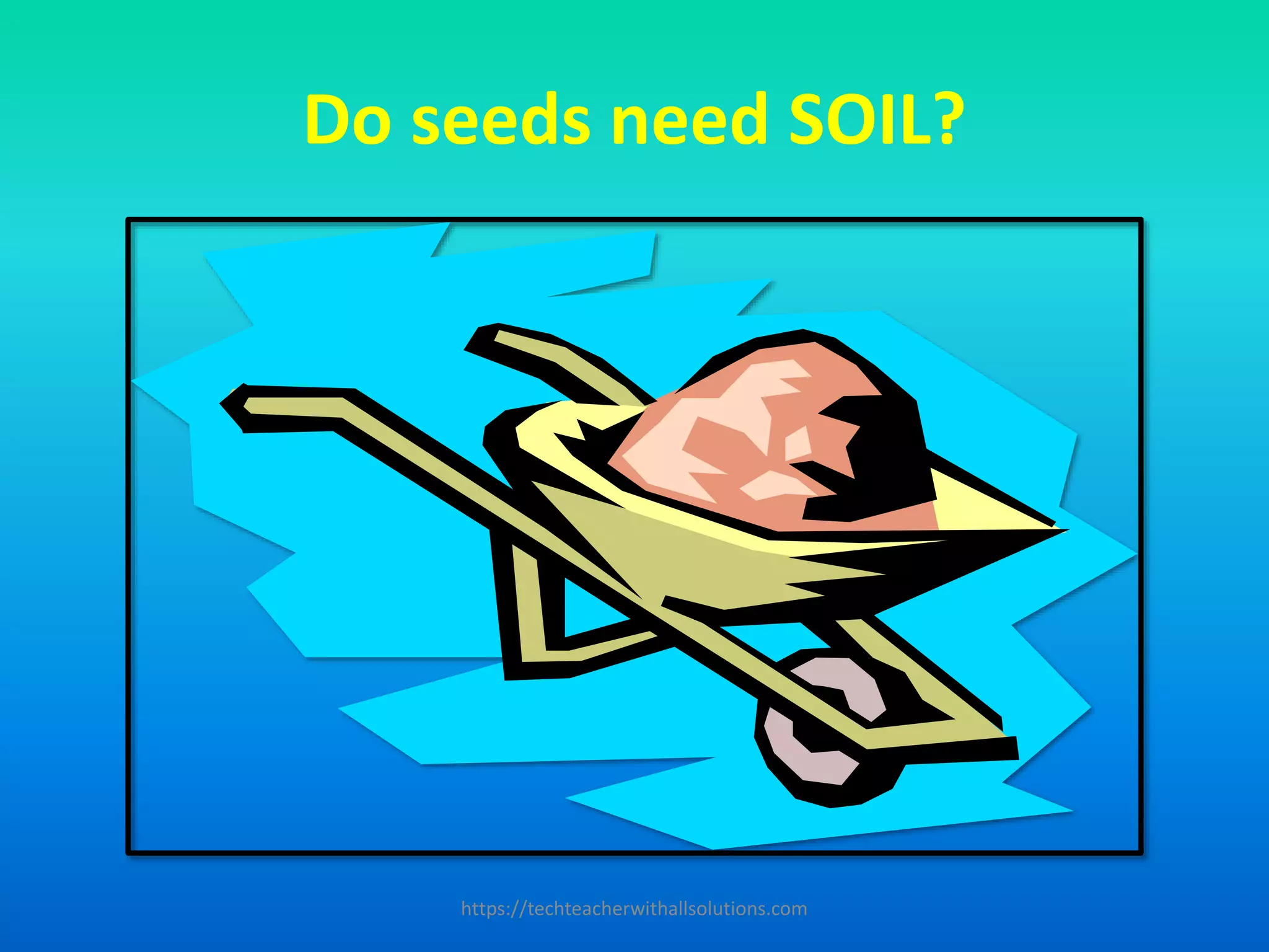Do seeds need SOIL?
https://techteacherwithallsolutions.com
 
