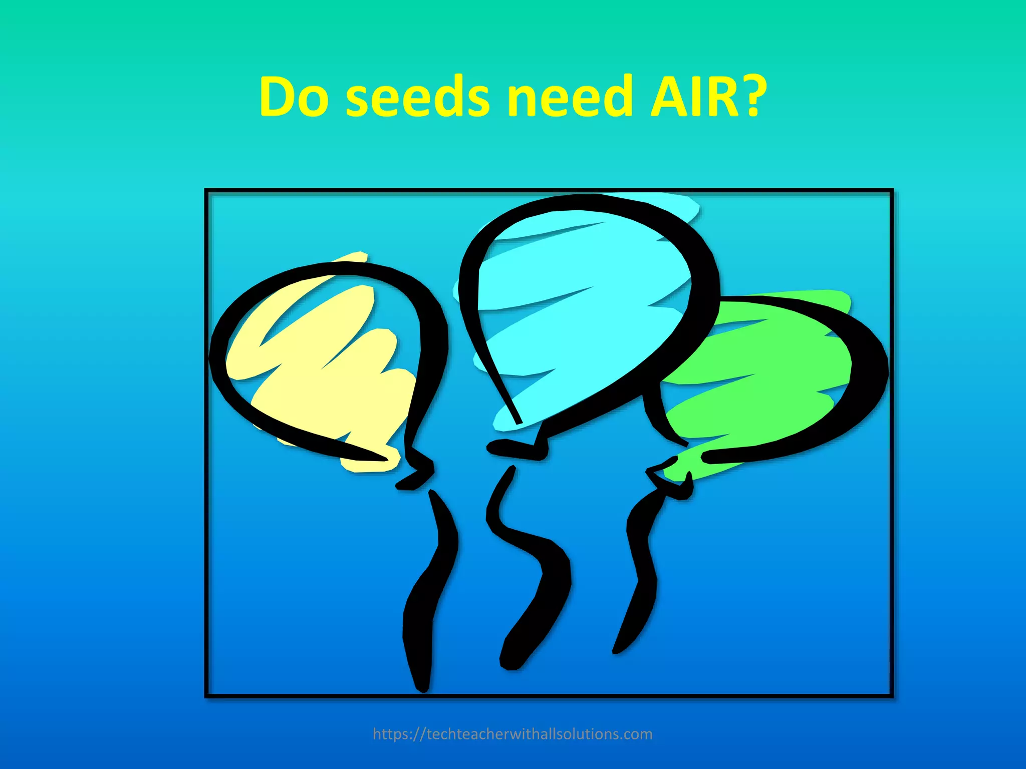 Do seeds need AIR?
https://techteacherwithallsolutions.com
 