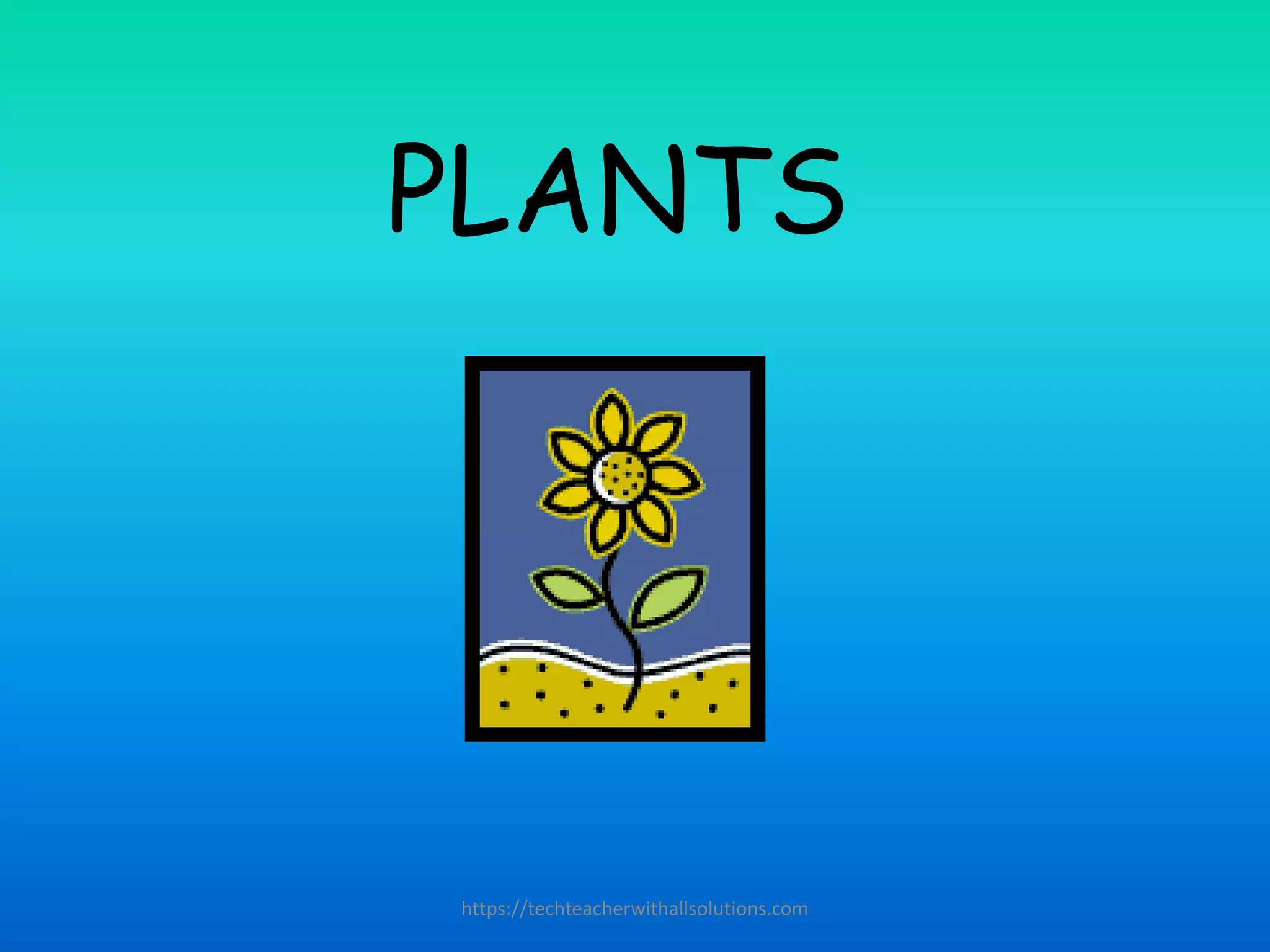 PLANTS
https://techteacherwithallsolutions.com
 