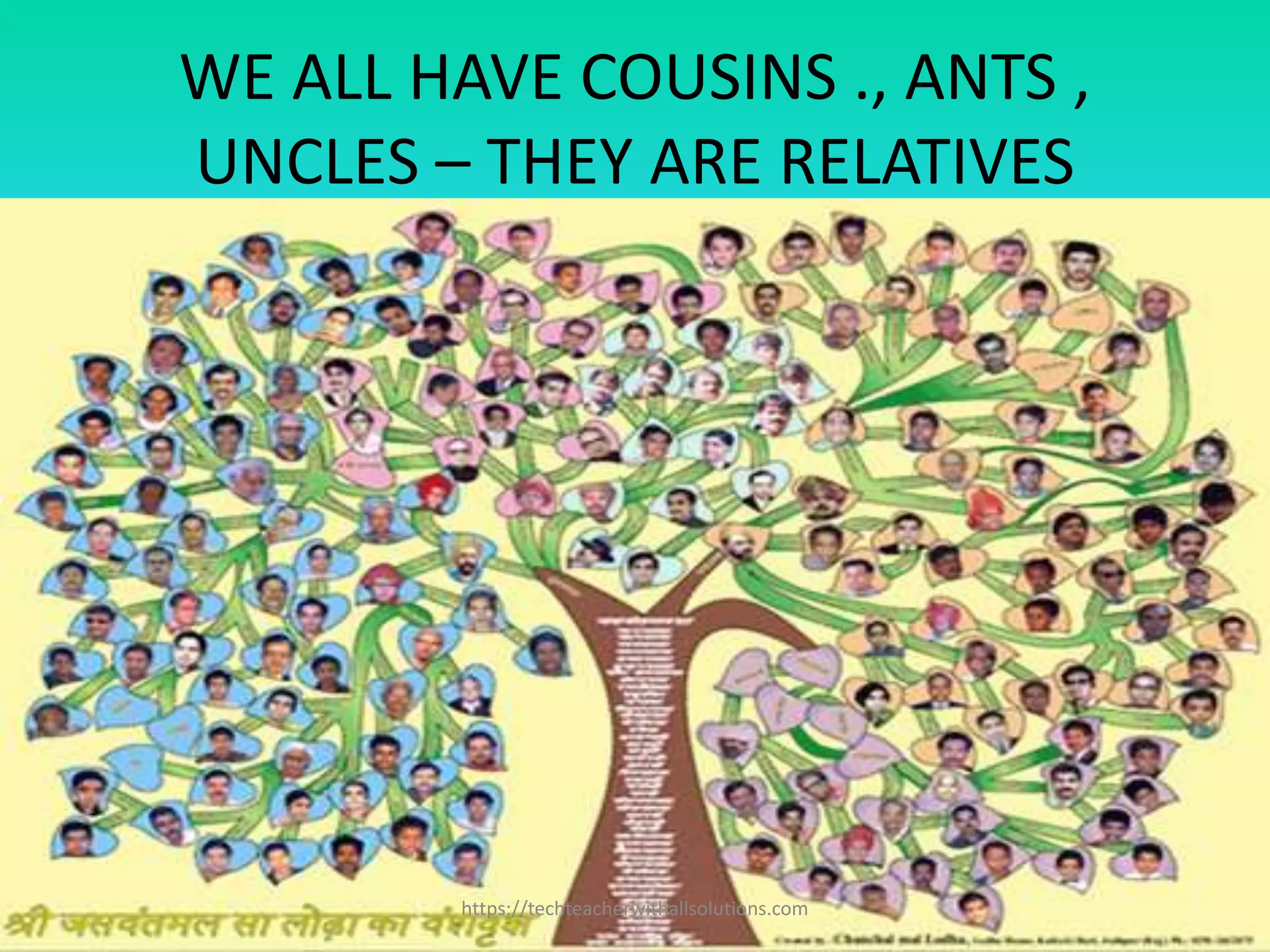 WE ALL HAVE COUSINS ., ANTS ,
UNCLES – THEY ARE RELATIVES
https://techteacherwithallsolutions.com
 