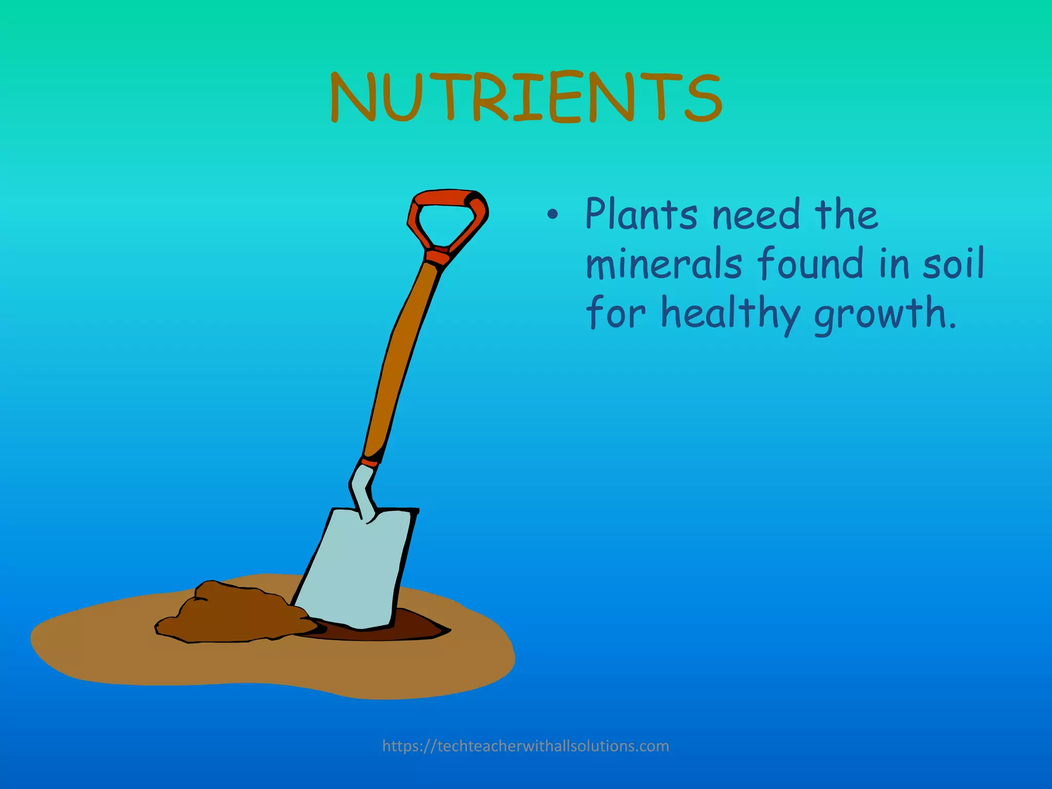 NUTRIENTS
• Plants need the
minerals found in soil
for healthy growth.
https://techteacherwithallsolutions.com
 
