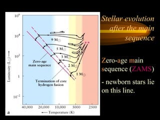 Stellar evolution
after the main
sequence
Zero-age main
sequence (ZAMS)
- newborn stars lie
on this line.
 