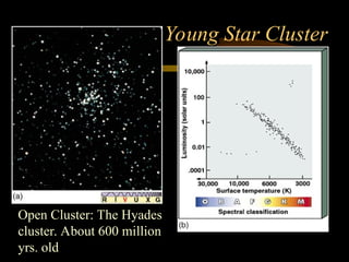 Young Star Cluster
Open Cluster: The Hyades
cluster. About 600 million
yrs. old
 