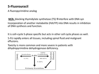 5-Fluorouracil
A fluoropyrimidine analog
M/A- blocking thymidylate synthetase (TS)interfere with DNA syn
Incorporation of another metabolite (FdUTP) into DNA results in inhibition
of DNA synthesis and function.
It is cell–cycle S-phase specific but acts in other cell cycle phases as well.
5-FU rapidly enters all tissues, including spinal fluid and malignant
effusions.
Toxicity is more common and more severe in patients with
dihydropyrimidine dehydrogenase deficiency.
 