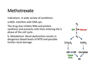 Methotrexate
Indications. A wide variety of conditions
a.M/A- interfere with DNA syn.
The drug also inhibits RNA and protein
synthesis and prevents cells from entering the S
phase of the cell cycle.
b. Metabolism. Renal dysfunction results in
dangerous blood levels of MTX and possible
further renal damage.
 