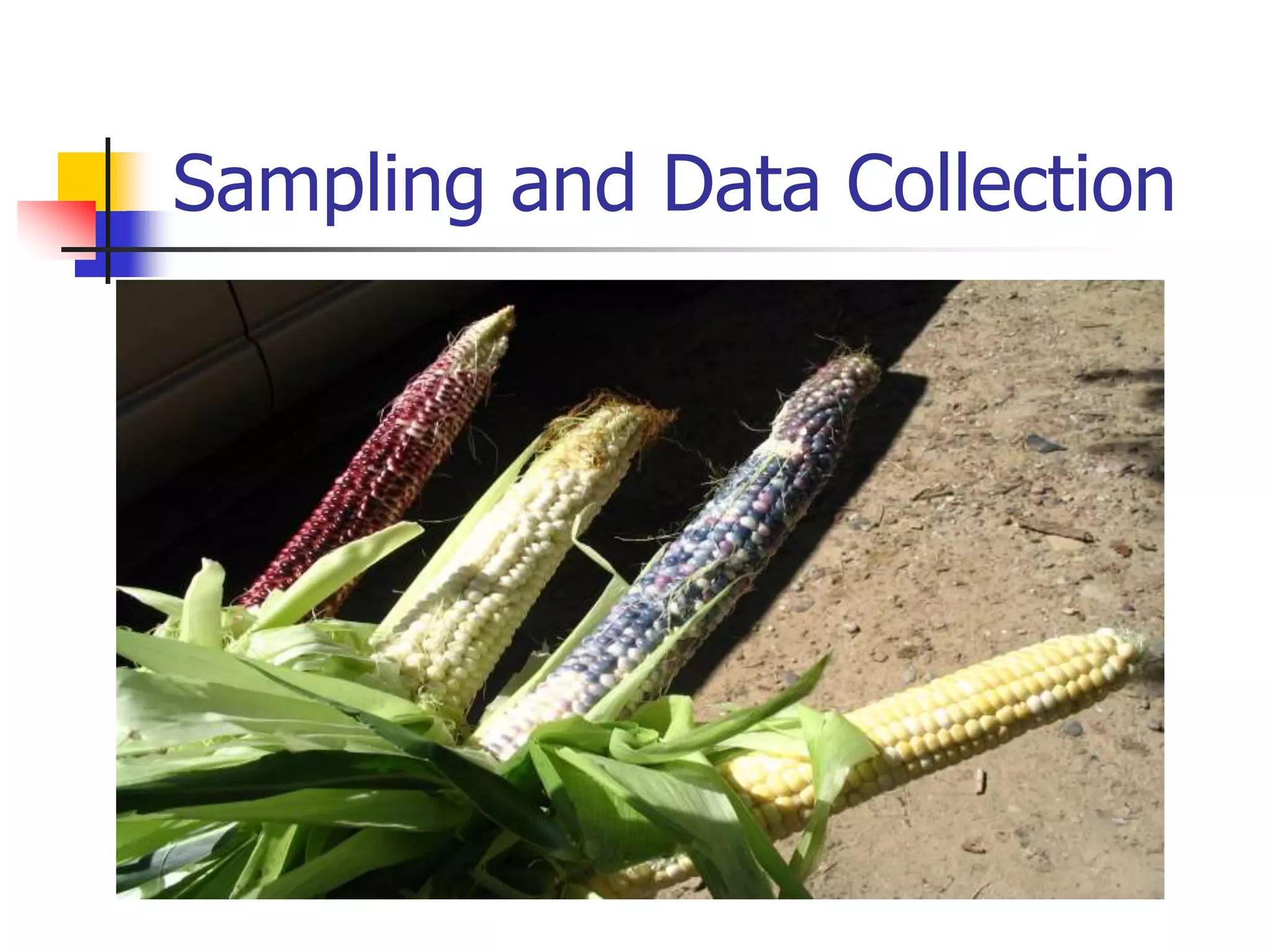 Sampling and Data Collection
 