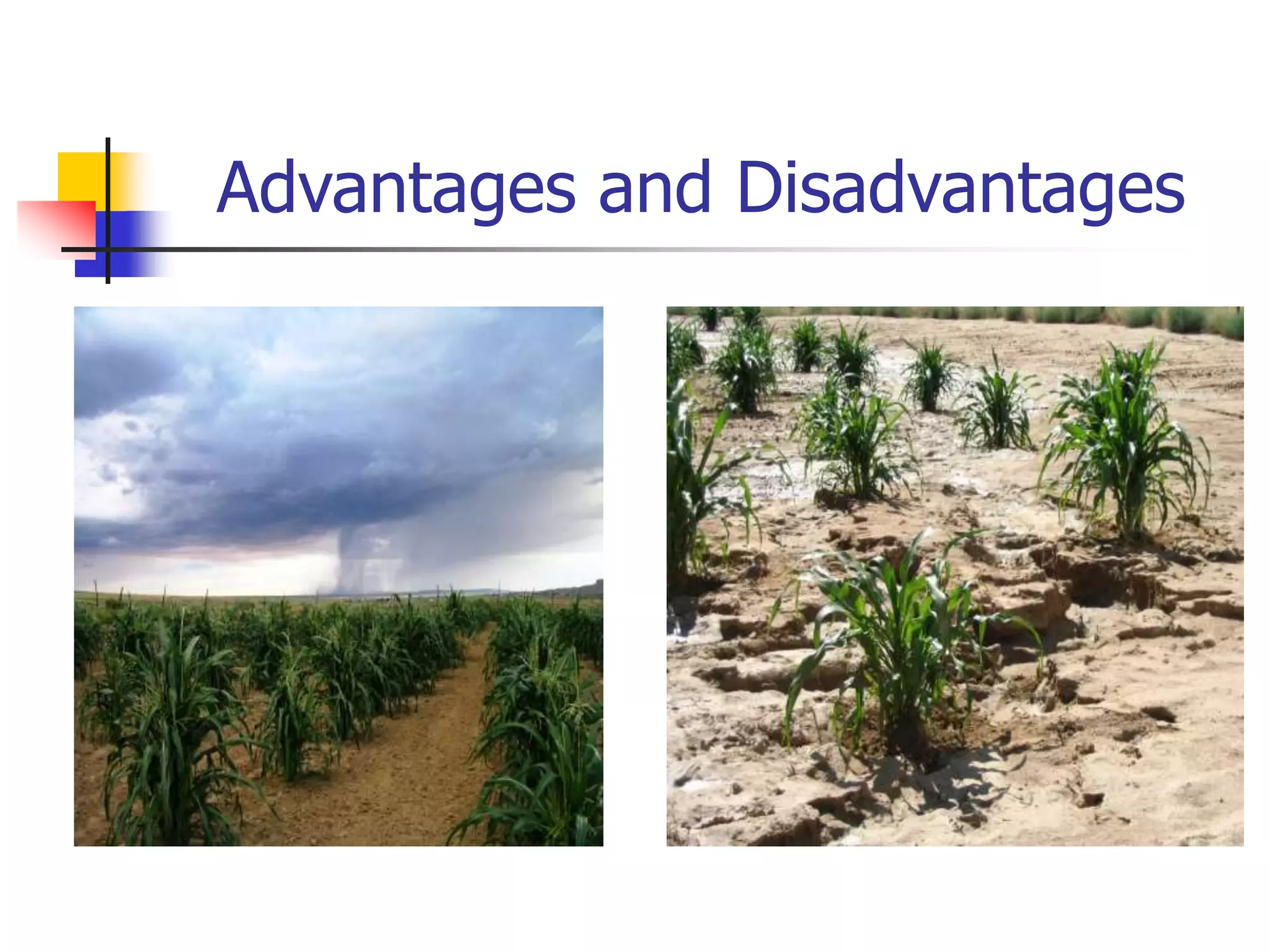 Advantages and Disadvantages
 