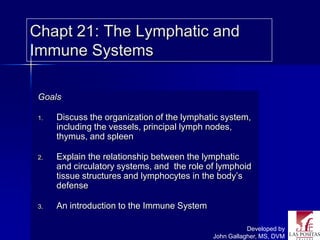Chapt 21: The Lymphatic and
Immune Systems

 Goals

 1.   Discuss the organization of the lymphatic system,
      including the vessels, principal lymph nodes,
      thymus, and spleen

 2.   Explain the relationship between the lymphatic
      and circulatory systems, and the role of lymphoid
      tissue structures and lymphocytes in the body’s
      defense

 3.   An introduction to the Immune System

                                                        Developed by
                                             John Gallagher, MS, DVM
 