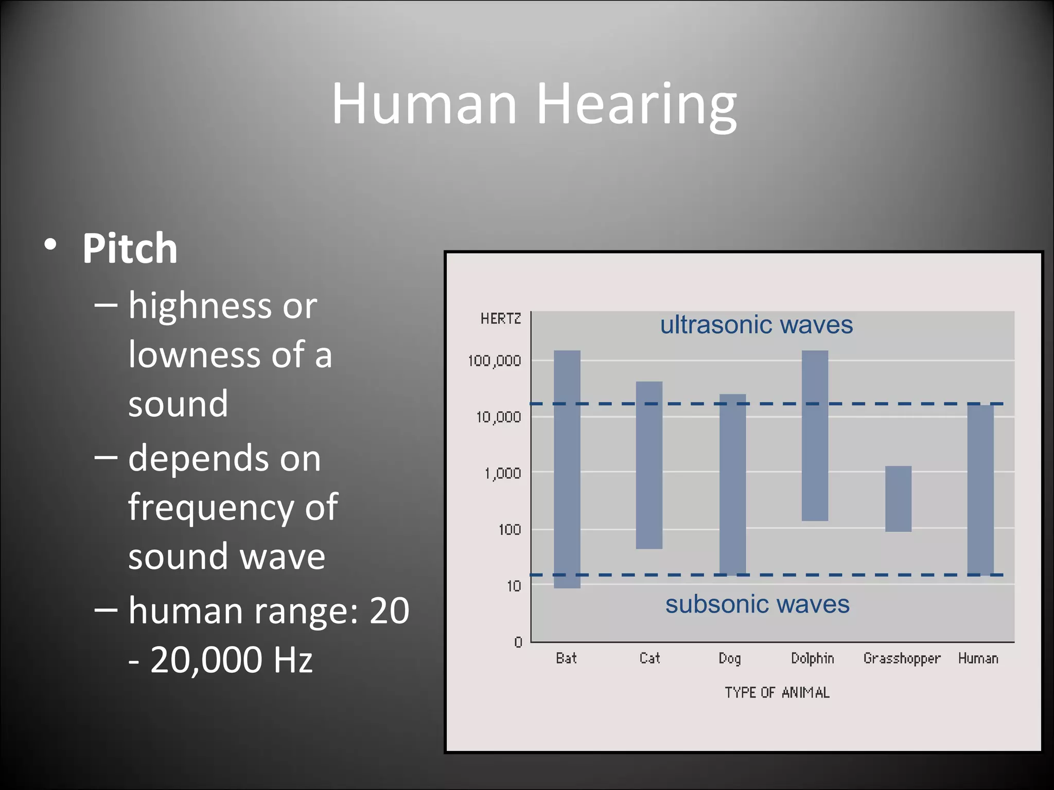 Human Hearing
• Pitch
– highness or
lowness of a
sound
– depends on
frequency of
sound wave
– human range: 20
- 20,000 Hz
ultrasonic waves
subsonic waves
 