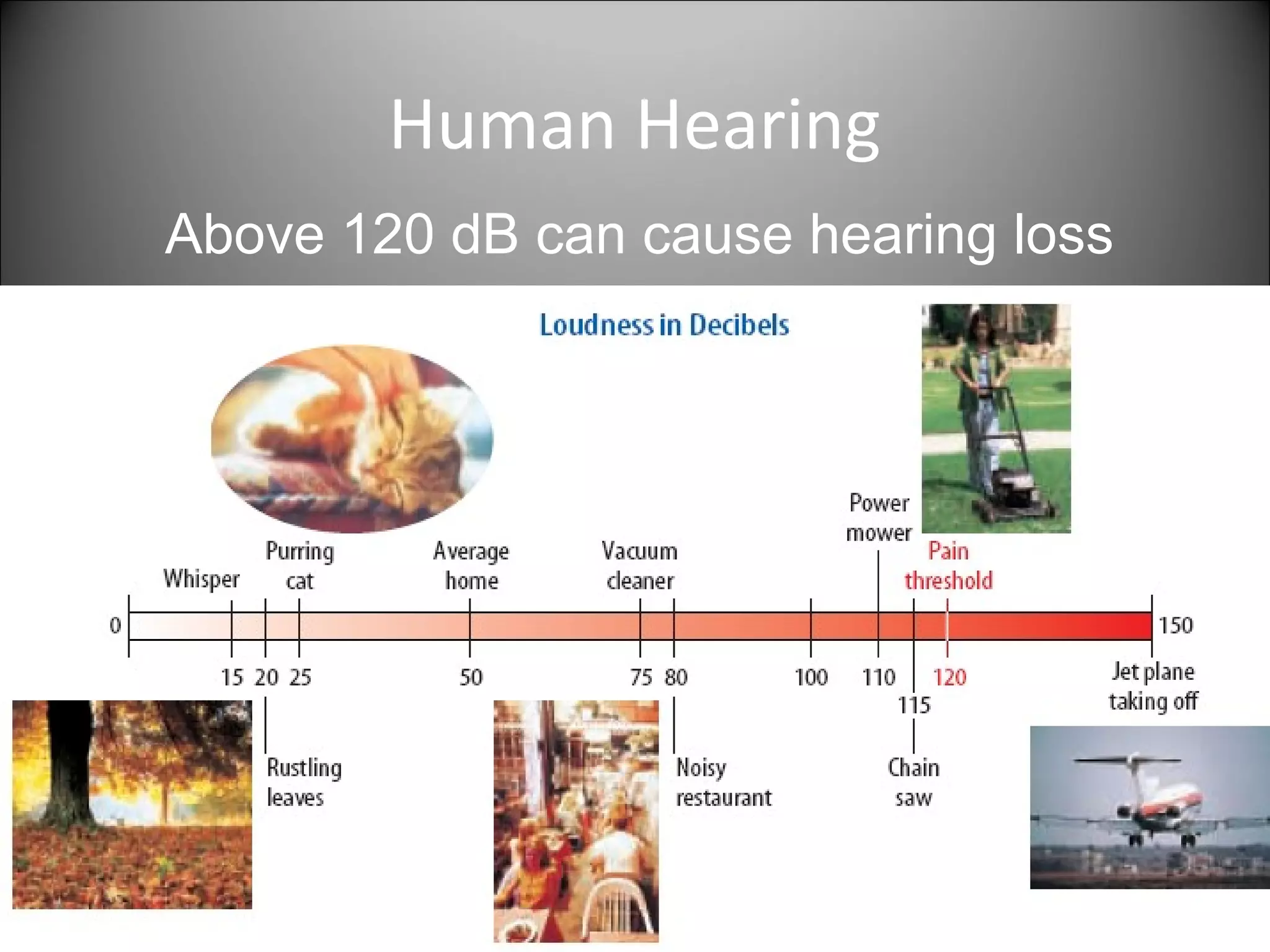 Human Hearing
70
80
100
110
120
40
18
10
0
DECIBEL SCALE
Above 120 dB can cause hearing loss
 