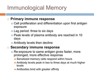 Immunological Memory
 Primary immune response
 Cell proliferation and differentiation upon first antigen
exposure
 Lag period: three to six days
 Peak levels of plasma antibody are reached in 10
days
 Antibody levels then decline
 Secondary immune response
 Re-exposure to same antigen gives faster, more
prolonged, more effective response
 Sensitized memory cells respond within hours
 Antibody levels peak in two to three days at much higher
levels
 Antibodies bind with greater affinity
 