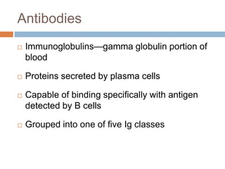 Antibodies
 Immunoglobulins—gamma globulin portion of
blood
 Proteins secreted by plasma cells
 Capable of binding specifically with antigen
detected by B cells
 Grouped into one of five Ig classes
 