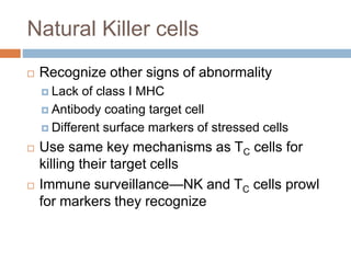 Natural Killer cells
 Recognize other signs of abnormality
 Lack of class I MHC
 Antibody coating target cell
 Different surface markers of stressed cells
 Use same key mechanisms as TC cells for
killing their target cells
 Immune surveillance—NK and TC cells prowl
for markers they recognize
 
