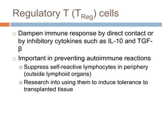 Regulatory T (TReg) cells
 Dampen immune response by direct contact or
by inhibitory cytokines such as IL-10 and TGF-
β
 Important in preventing autoimmune reactions
 Suppress self-reactive lymphocytes in periphery
(outside lymphoid organs)
 Research into using them to induce tolerance to
transplanted tissue
 