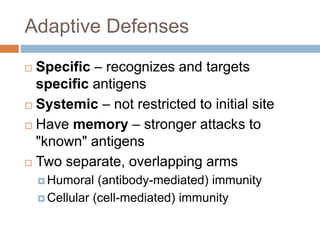 Adaptive Defenses
 Specific – recognizes and targets
specific antigens
 Systemic – not restricted to initial site
 Have memory – stronger attacks to
"known" antigens
 Two separate, overlapping arms
 Humoral (antibody-mediated) immunity
 Cellular (cell-mediated) immunity
 