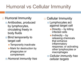 Humoral vs Cellular Immunity
 Humoral Immunity
 Antibodies, produced
by lymphocytes,
circulating freely in
body fluids
 Bind temporarily to
target cell
 Temporarily inactivate
 Mark for destruction by
phagocytes or
complement
 Humoral immunity has
 Cellular Immunity
 Lymphocytes act
against target cell
 Directly – by killing
infected cells
 Indirectly – by
releasing chemicals
that enhance
inflammatory
response; or activating
other lymphocytes or
macrophages
 Cellular immunity has
cellular targets
 