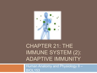 CHAPTER 21: THE
IMMUNE SYSTEM (2):
ADAPTIVE IMMUNITY
Human Anatomy and Physiology II –
BIOL153
 