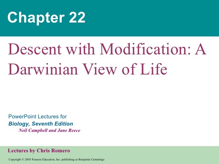 Chapter22