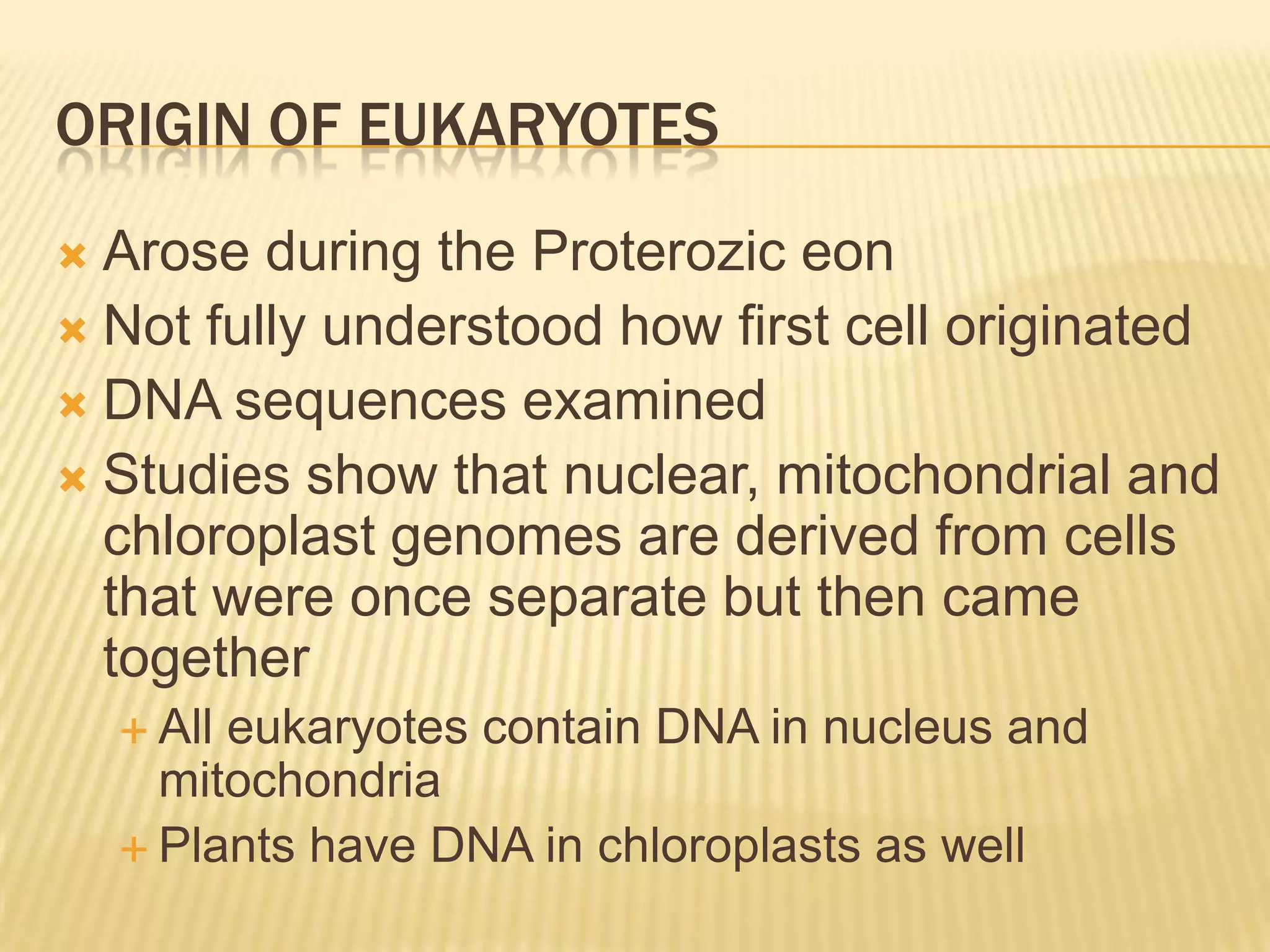 Chapter 22 The Origin of Eukaryotes | PPTX