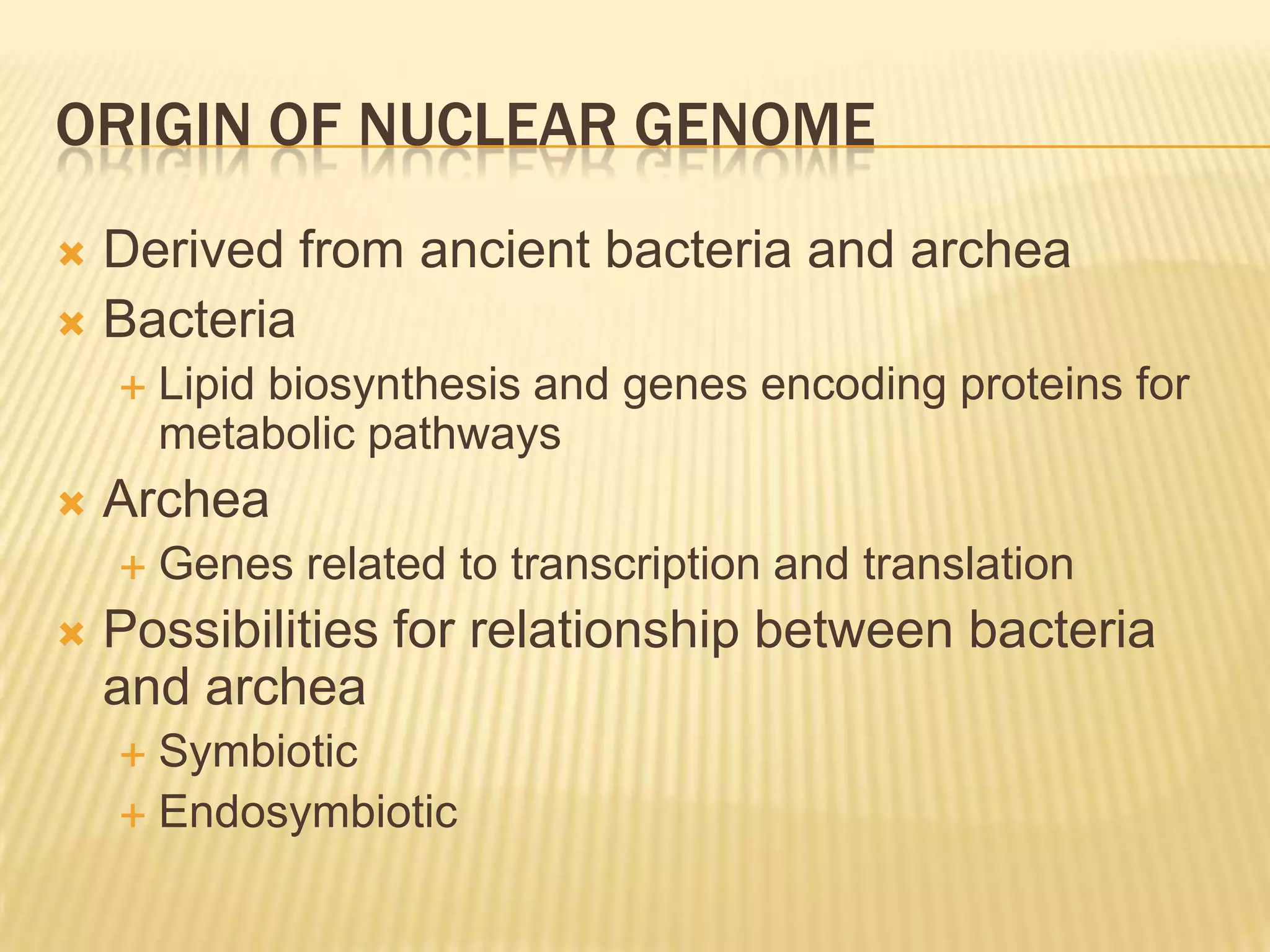 Chapter 22 The Origin of Eukaryotes | PPTX