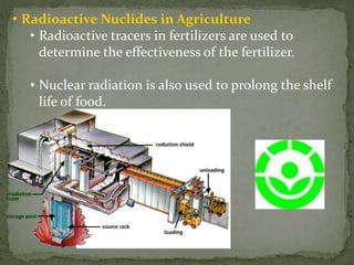 • Radioactive Nuclides in Agriculture
• Radioactive tracers in fertilizers are used to
determine the effectiveness of the fertilizer.
• Nuclear radiation is also used to prolong the shelf
life of food.
 