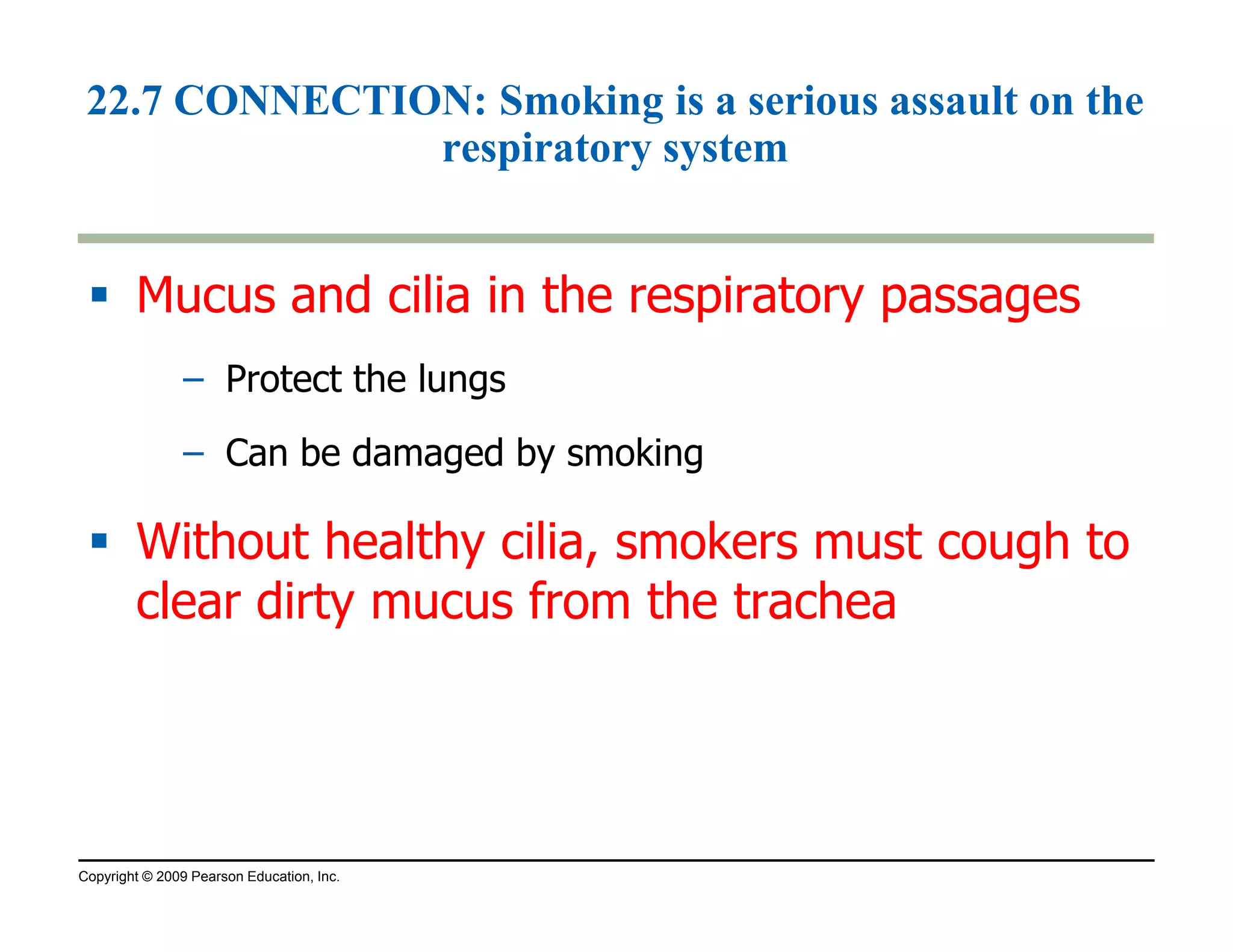 22.7 CONNECTION: Smoking is a serious assault on the 
respiratory system 
 Mucus and cilia in the respiratory passages 
– Protect the lungs 
– Can be damaged by smoking 
 Without healthy cilia, smokers must cough to 
clear dirty mucus from the trachea 
Copyright © 2009 Pearson Education, Inc. 
 