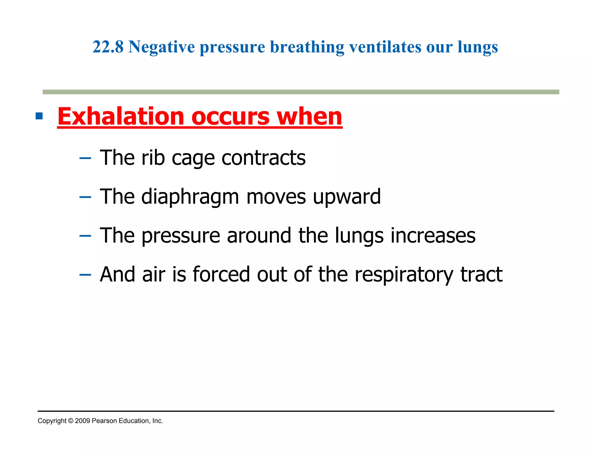 22.8 Negative pressure breathing ventilates our lungs 
 Exhalation occurs when 
– The rib cage contracts 
– The diaphragm moves upward 
– The pressure around the lungs increases 
– And air is forced out of the respiratory tract 
Copyright © 2009 Pearson Education, Inc. 
 