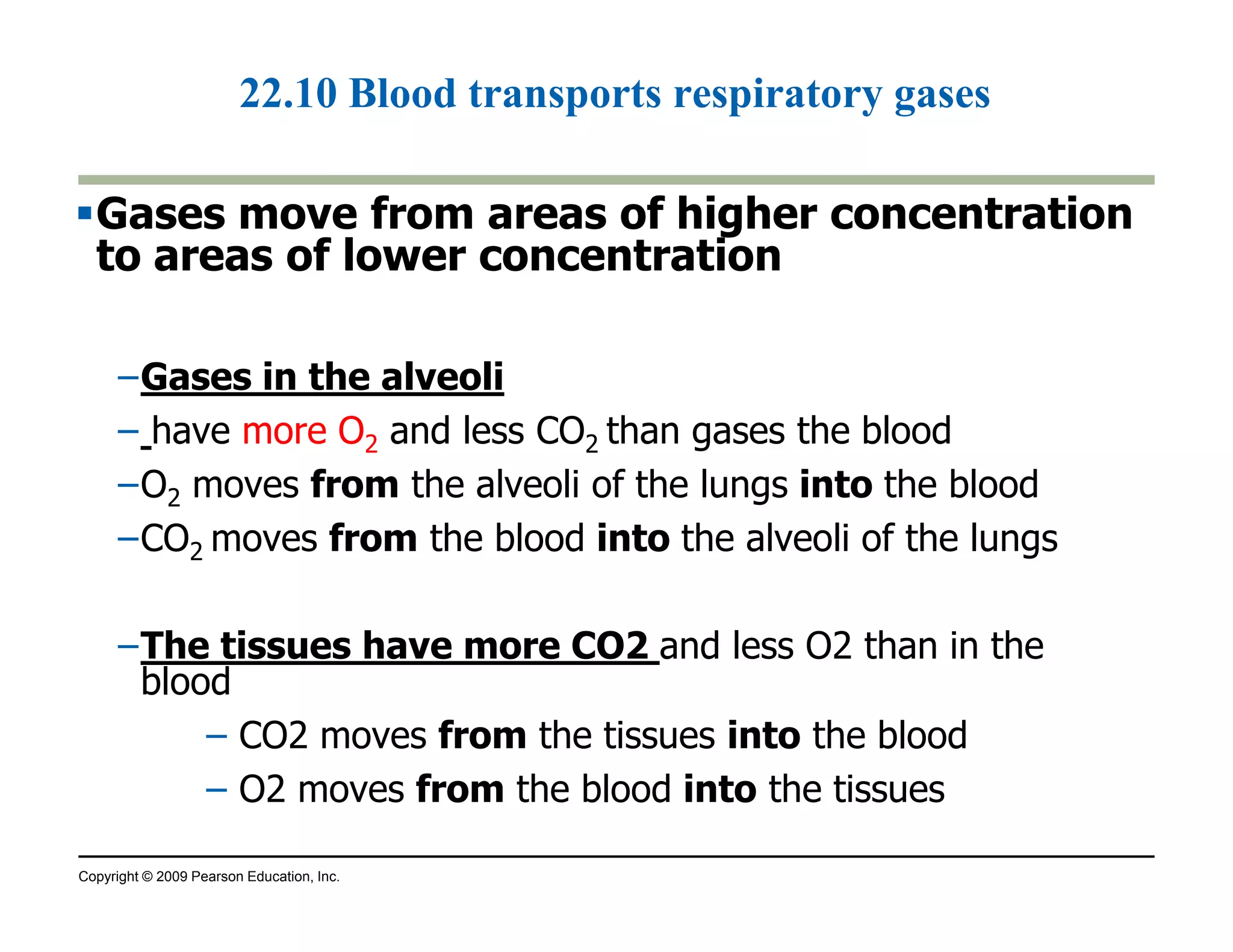 22.10 Blood transports respiratory gases 
Gases move from areas of higher concentration 
to areas of lower concentration 
–Gases in the alveoli 
– have more O2 and less CO2 than gases the blood 
–O moves from the alveoli of the lungs into the blood 
2 –CO2 moves from the blood into the alveoli of the lungs 
–The tissues have more CO2 and less O2 than in the 
blood 
– CO2 moves from the tissues into the blood 
– O2 moves from the blood into the tissues 
Copyright © 2009 Pearson Education, Inc. 
 