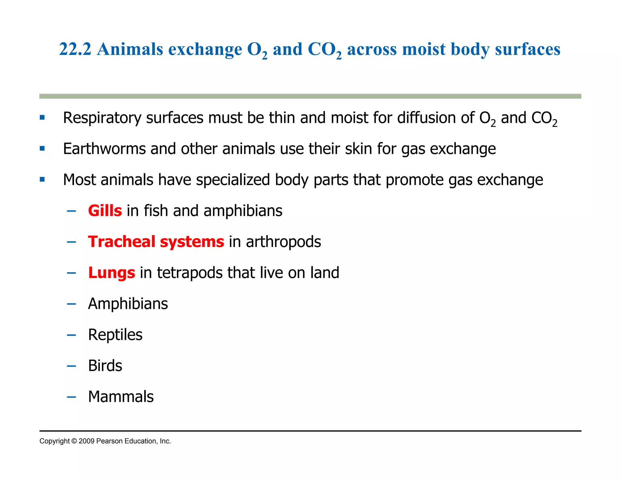 22.2 Animals exchange O2 and CO2 across moist body surfaces 
 Respiratory surfaces must be thin and moist for diffusion of O2 and CO2 
 Earthworms and other animals use their skin for gas exchange 
 Most animals have specialized body parts that promote gas exchange 
– Gills in fish and amphibians 
– Tracheal systems in arthropods 
– Lungs in tetrapods that live on land 
– Amphibians 
– Reptiles 
– Birds 
– Mammals 
Copyright © 2009 Pearson Education, Inc. 
 