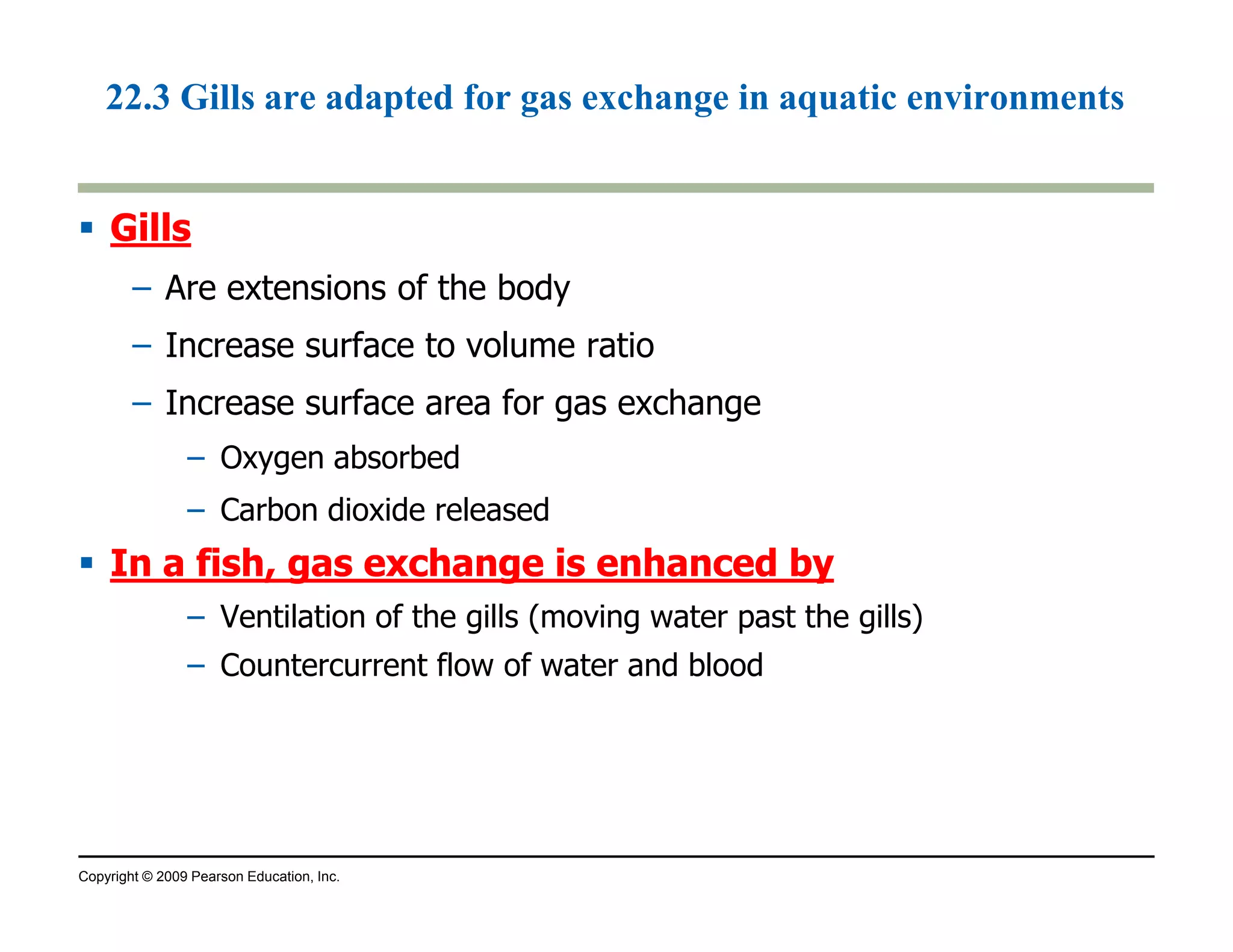22.3 Gills are adapted for gas exchange in aquatic environments 
 GGiillllss 
– Are extensions of the body 
– Increase surface to volume ratio 
– Increase surface area for gas exchange 
– Oxygen absorbed 
– Carbon dioxide released 
 IInn aa ffiisshh,, ggaass eexxcchhaannggee iiss eennhhaanncceedd bbyy 
– Ventilation of the gills (moving water past the gills) 
– Countercurrent flow of water and blood 
Copyright © 2009 Pearson Education, Inc. 
 