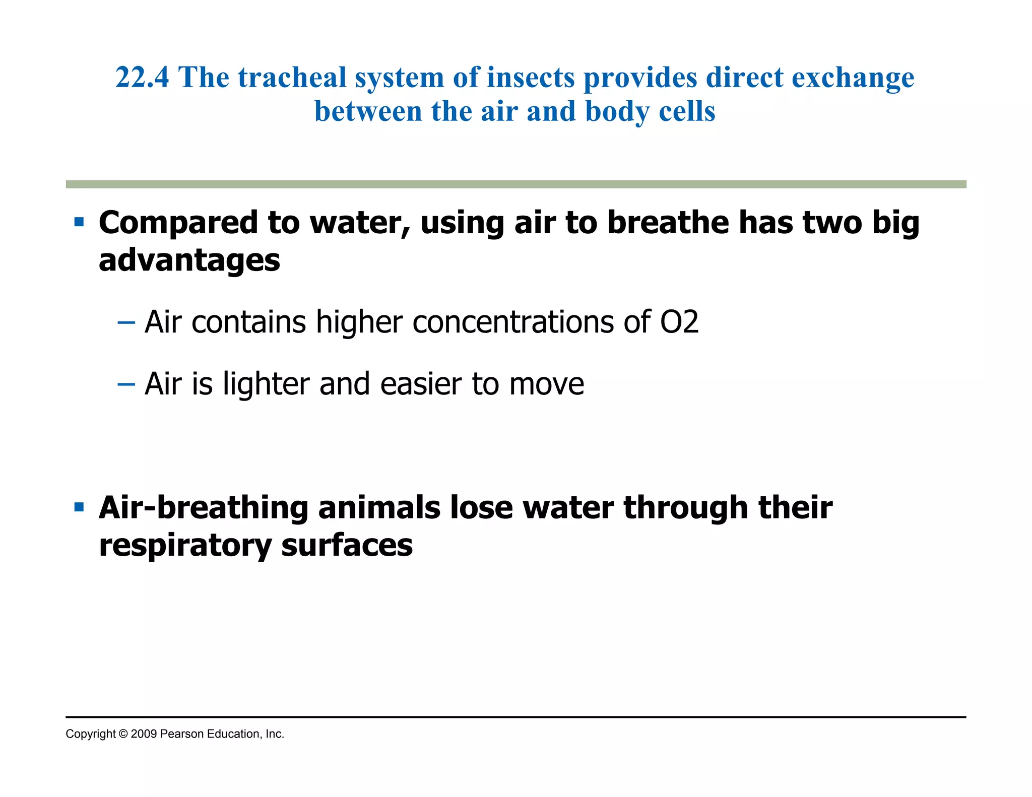 22.4 The tracheal system of insects provides direct exchange 
between the air and body cells 
 Compared to water, using air to breathe has two big 
advantages 
– Air contains higher concentrations of O2 
– Air is lighter and easier to move 
 Air-breathing animals lose water through their 
respiratory surfaces 
Copyright © 2009 Pearson Education, Inc. 
 