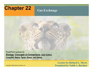 Chapter 22 Gas Exchange 
PowerPoint Lectures for 
Biology: Concepts & Connections, Sixth Edition 
Campbell, Reece, Taylor, Simon, and Dickey 
Copyright © 2009 Pearson Education, Inc. 
Lecture by Richard L. Myers 
Translated by Nabih A. Baeshen 
 