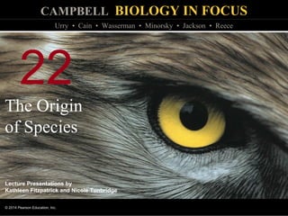 CAMPBELL BIOLOGY IN FOCUS
© 2014 Pearson Education, Inc.
Urry • Cain • Wasserman • Minorsky • Jackson • Reece
Lecture Presentations by
Kathleen Fitzpatrick and Nicole Tunbridge
22
The Origin
of Species
 