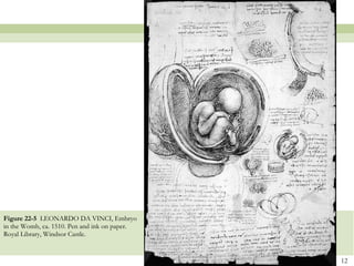Figure 22-5  LEONARDO DA VINCI, Embryo in the Womb, ca. 1510. Pen and ink on paper. Royal Library, Windsor Castle.  
